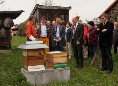 Am Lehrbienenstand (von links) Imkervorstand Peter Kirchner, MdL Steffen Vogel, die bienenpolitische Sprecherin der CSU-Landtagsfraktion Tanja Schorer-Dremel und Kreisvorsitzender Dr. Werner Hornung.