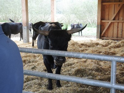 Sch�ne Tiere!