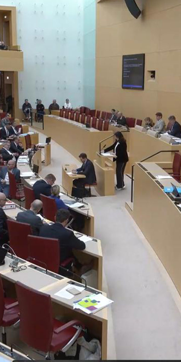 Plenarrede zum Thema "digitale Heimat"