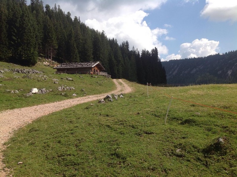 Moosenalm in der Biosprenregion Berchtesgadener Land